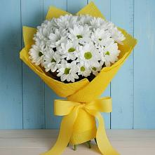Букет цветов из:  Хризантемы #REPLACE_PRED# Салехарде