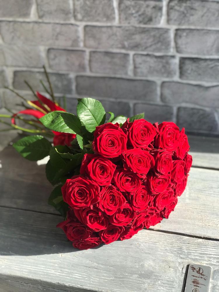 Букет Красные розы Фридом в Салехарде