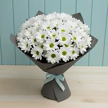 Букет цветов из:  Хризантемы в Салехарде