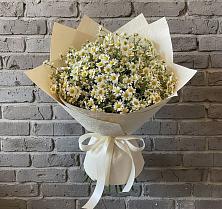 Букет цветов из:  Ромашки #REPLACE_PRED# Салехарде