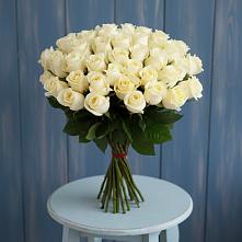 Букет 51 Белая роза Эдлесс Лав #REPLACE_PRED# Салехарде