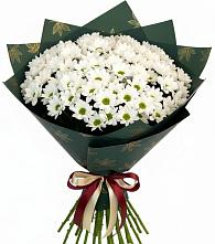 Букет цветов из:  Хризантемы в Салехарде