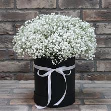 Цветочная композиция из Гипсофила в шляпной коробке #REPLACE_PRED# Салехарде