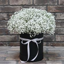 Цветочная композиция из Гипсофила в шляпной коробке в Салехарде
