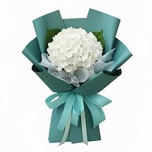 Букет цветов из:  Гортензия #REPLACE_PRED# Салехарде